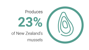 Aquaculture strategy infographic - mussels 