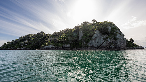 Image - Coromandel -  501 x 282TCDC Photography 2024 SJP 414